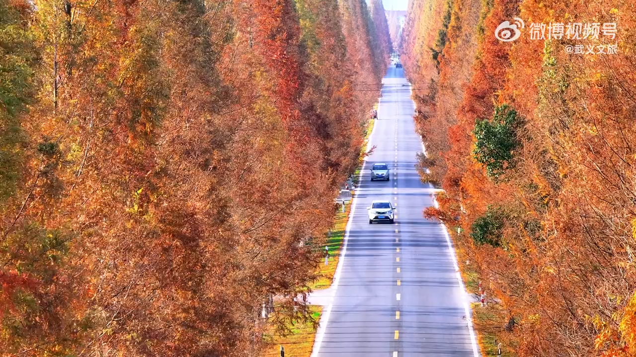 12241756横屏视频素材